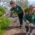 Lostwithiel Primary School DfE Wildflowers